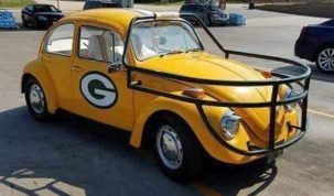 Bogaras Green Bay Packers rajongó