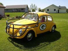 Bogaras Green Bay Packers rajongó
