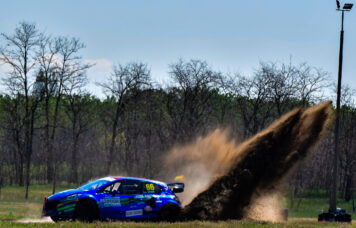 Rallycross Luigi
